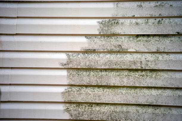 Best Siding for New Construction  in Dayton, VA