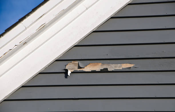 Best Fiber Cement Siding Installation  in Dayton, VA