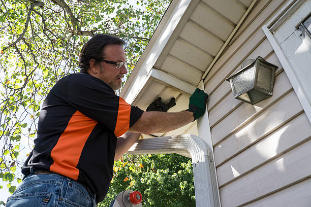 Best Siding Removal and Disposal  in Dayton, VA